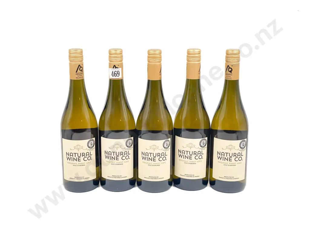 NZ 2022 Natural Wine Co. Pinot Gris x5 btls Image 1++