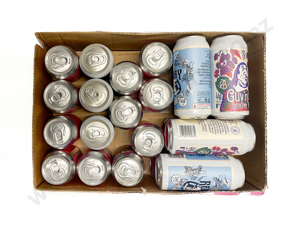 22 x Cans Craft Beer incl Choice Bros Image 1++