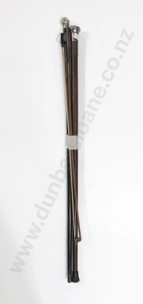 Two S/S Handled Walking Sticks with Violin Bow Image 1++