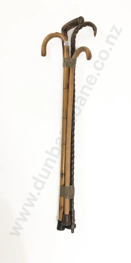 Four Walking Sticks Image 1++
