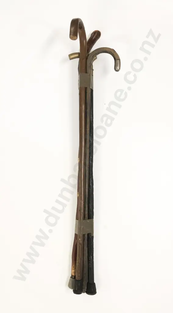 Four Walking Sticks Image 1++