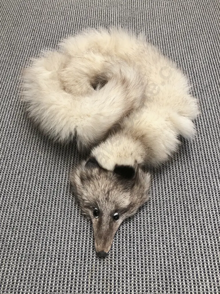 Fox Shoulder Stole Image 1++