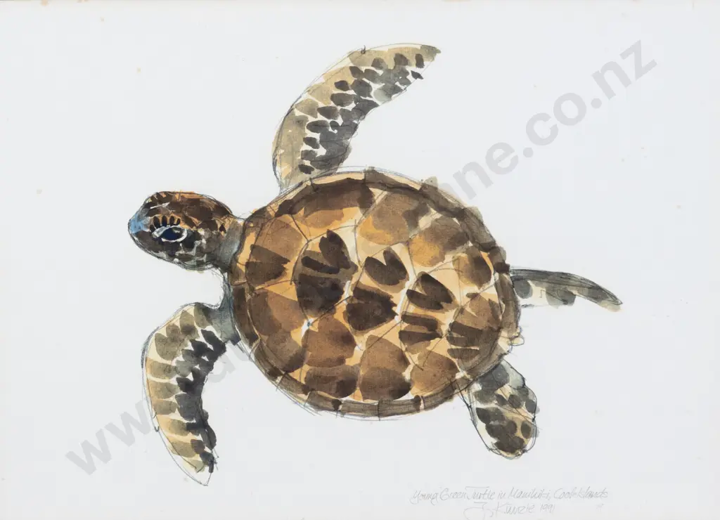 Carole M Shepheard (b 1945) - Discovery Image 1++