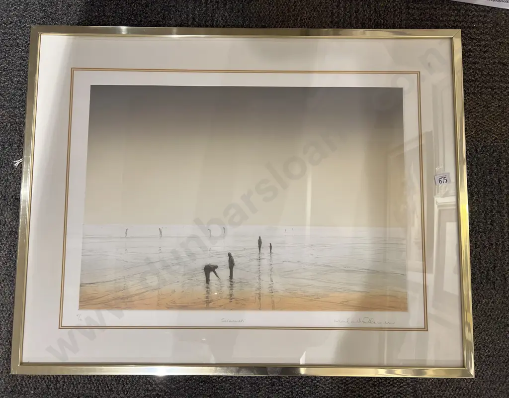Michael Richecoeur "Swimmers" Ltd Ed Print Image 1++