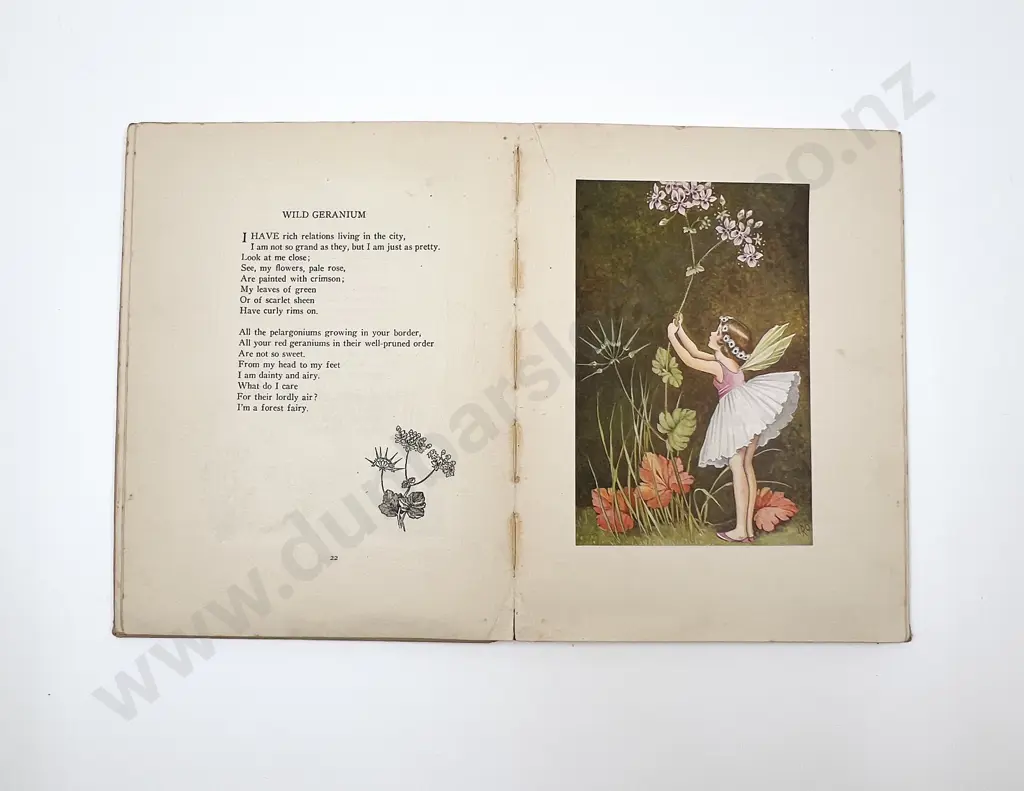 A Bunch of Wild Flowers by Ida R Outhwaite Image 1++