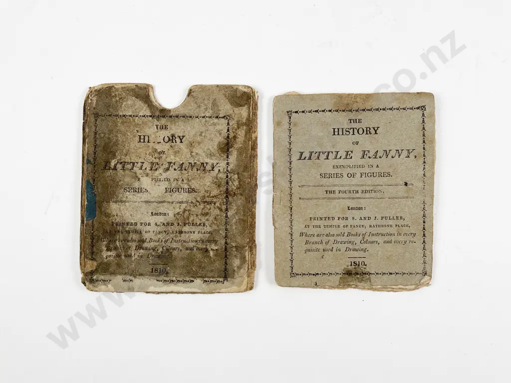 The History of Little Fanny Image 1++