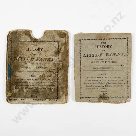 The History of Little Fanny