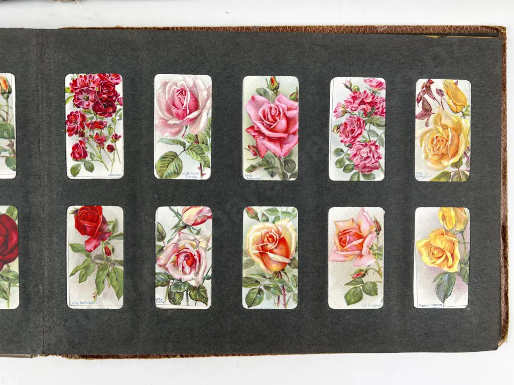 Two Cigarette Card Albums complete with Floral Series Cards Image 1++