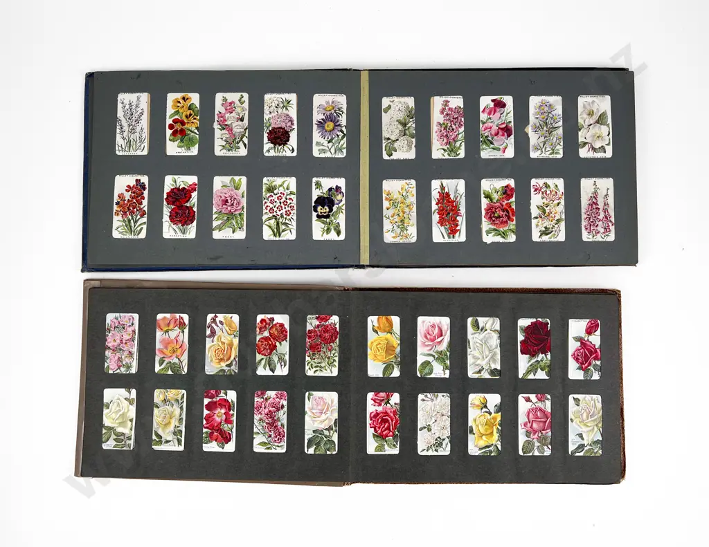 Two Cigarette Card Albums complete with Floral Series Cards Image 1++