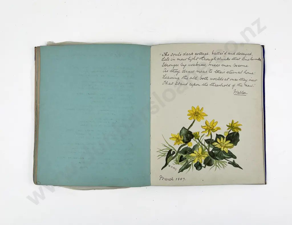Two Victorian Albums Image 1++