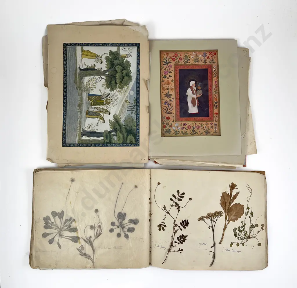 Sketchbook Album of Pressed Flowers & Other Image 1++