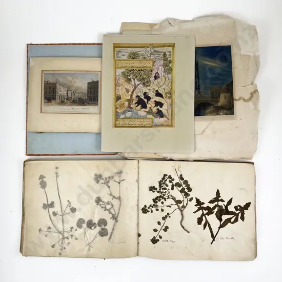 Sketchbook Album of Pressed Flowers & Other