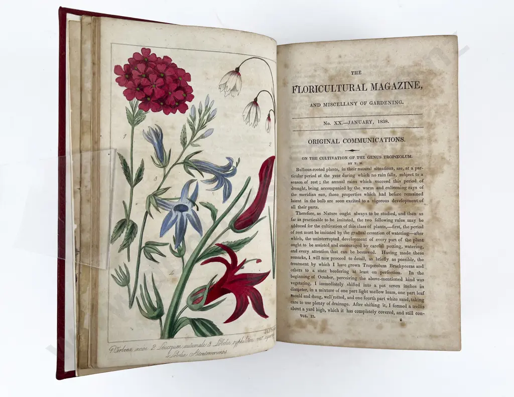 The Floricultural Magazine & Miscellany of Gardening by R Marnock Image 1++