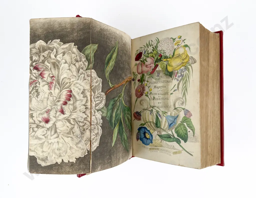 The Floricultural Magazine & Miscellany of Gardening by R Marnock Image 1++