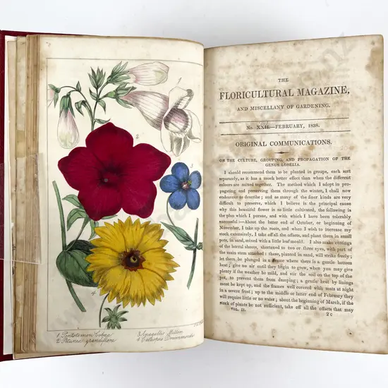 The Floricultural Magazine & Miscellany of Gardening by R Marnock