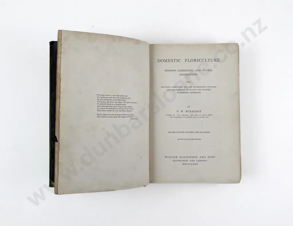 Domestic Floriculture by F W Burbridge Image 1++