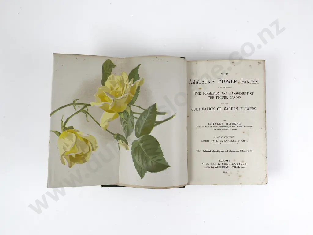 The Amateur's Flower Garden by Shirley Hibberd & Other Image 1++