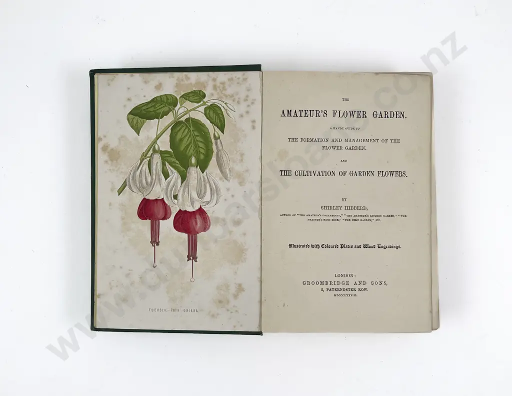 The Amateur's Flower Garden by Shirley Hibberd Image 1++