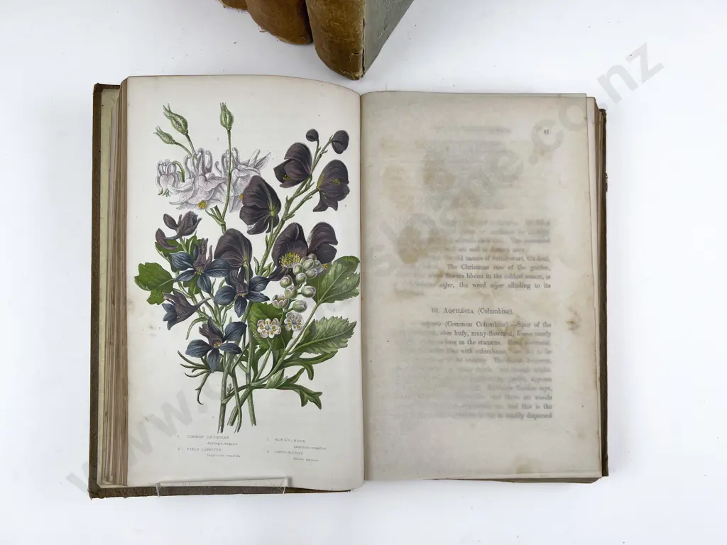The Flowering Plants and Ferns of Great Britain by Anne Pratt Vols I - V Image 1++