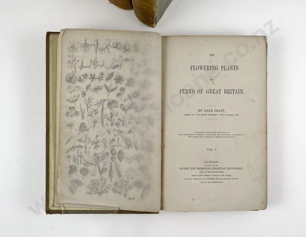 The Flowering Plants and Ferns of Great Britain by Anne Pratt Vols I - V Image 1++