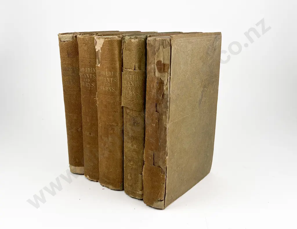 The Flowering Plants and Ferns of Great Britain by Anne Pratt Vols I - V Image 1++
