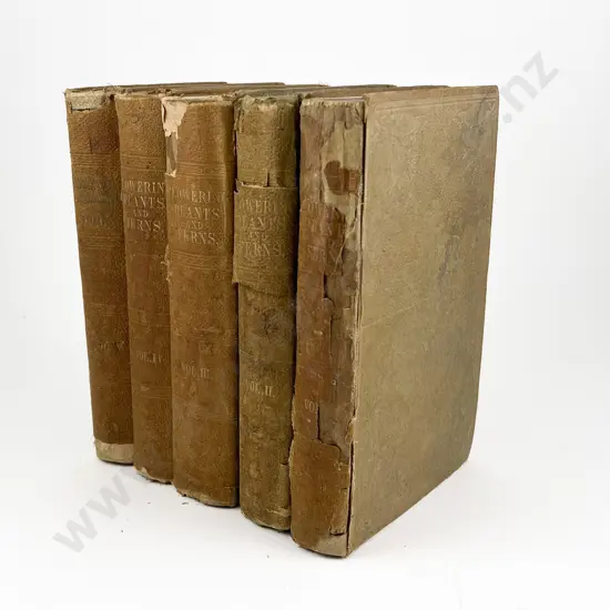 The Flowering Plants and Ferns of Great Britain by Anne Pratt Vols I - V