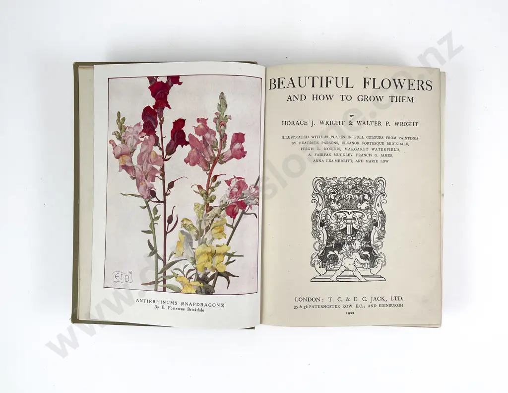 Beautiful Flowers & How To Grow Them by H & W Wright Image 1++