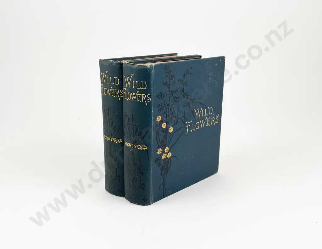 Wild Flowers by Anne Pratt Vols I & II Image 1++