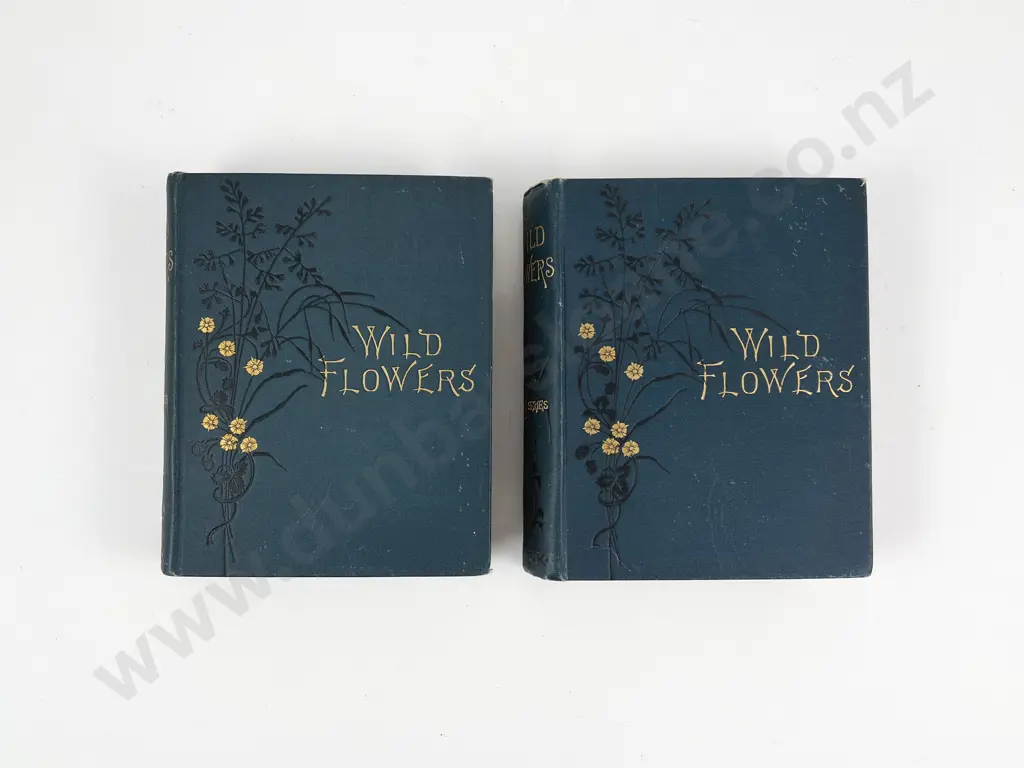 Wild Flowers by Anne Pratt Vols I & II Image 1++
