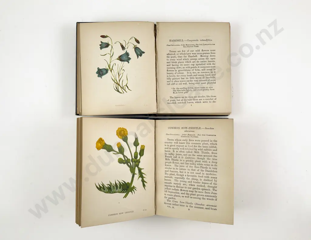 Wild Flowers by Anne Pratt Vols I & II Image 1++
