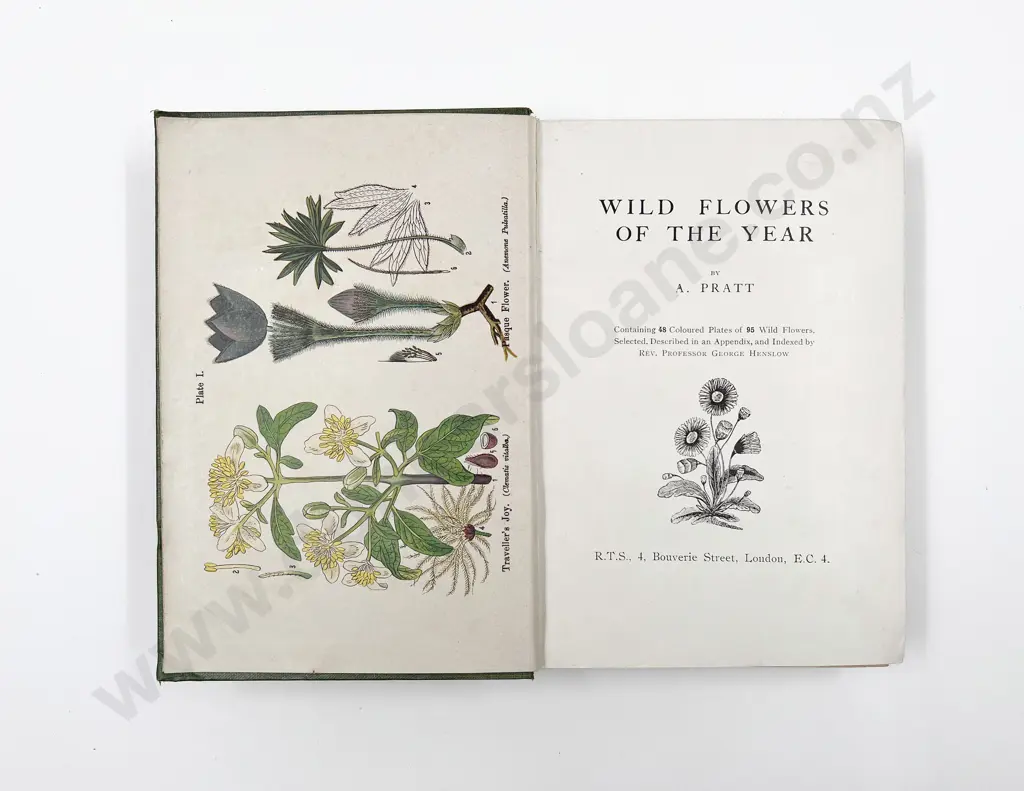 Wild Flowers of the Year by Anne Pratt Image 1++