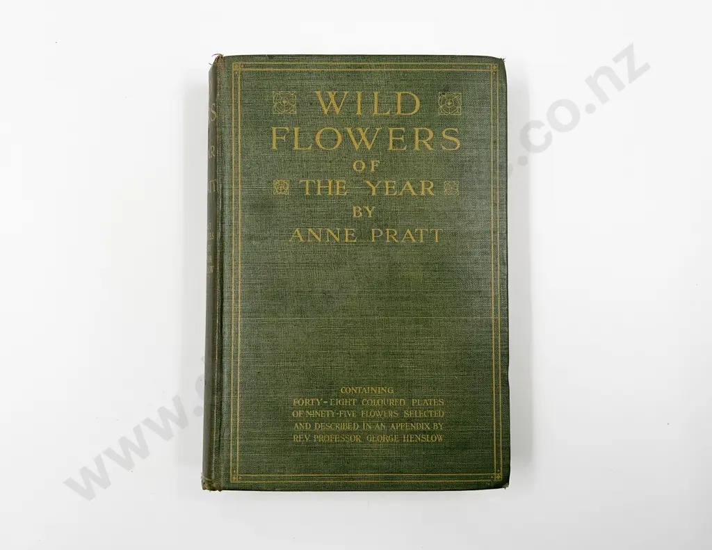 Wild Flowers of the Year by Anne Pratt Image 1++