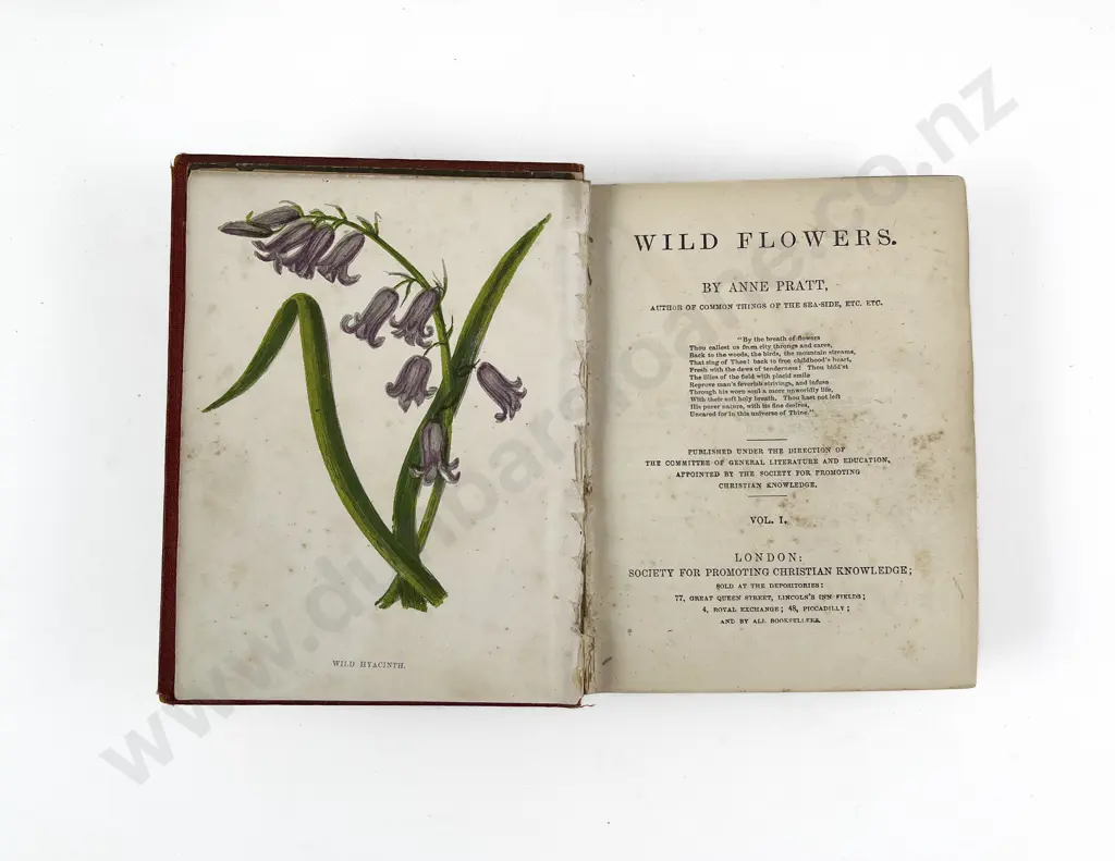 Three C19th Volumes Relating To Gardening Image 1++