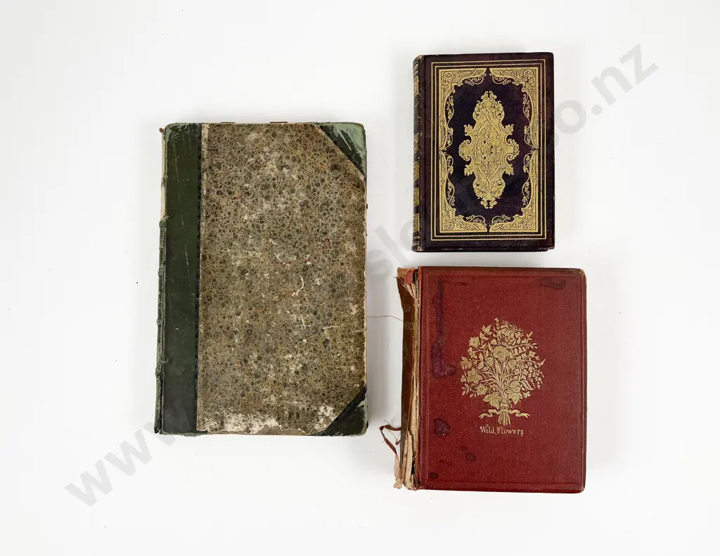 Three C19th Volumes Relating To Gardening Image 1++