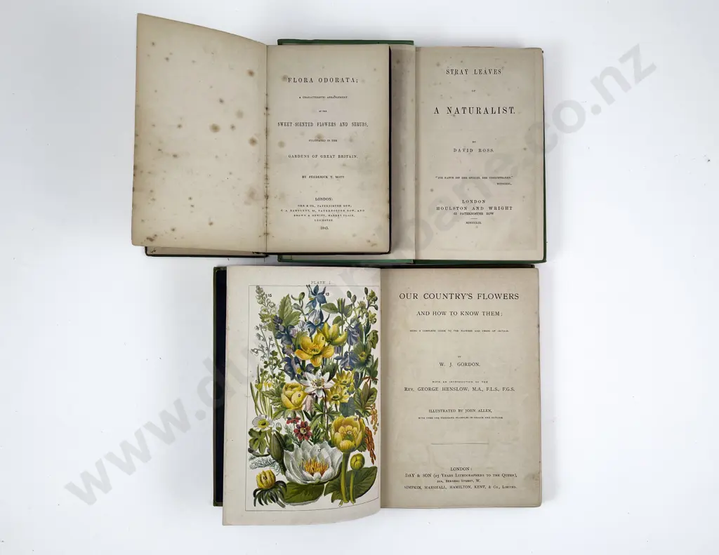 Our Country's Flowers by W J Gordon & Two Others Image 1++