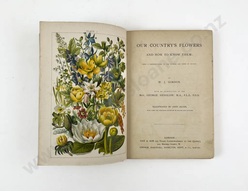 Our Country's Flowers by W J Gordon & Two Others Image 1++