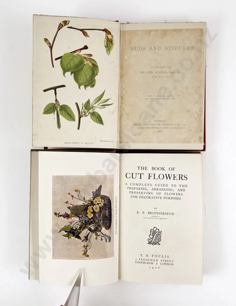 The Book of Cut Flowers by R P Brotherson & Other Image 1++