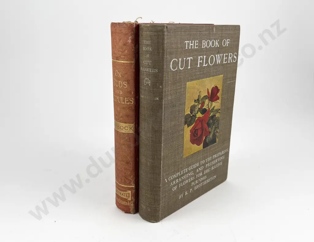 The Book of Cut Flowers by R P Brotherson & Other Image 1++