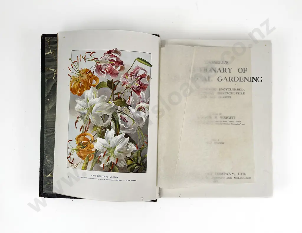 Cassells Dictionary of Gardening Vol II Image 1++