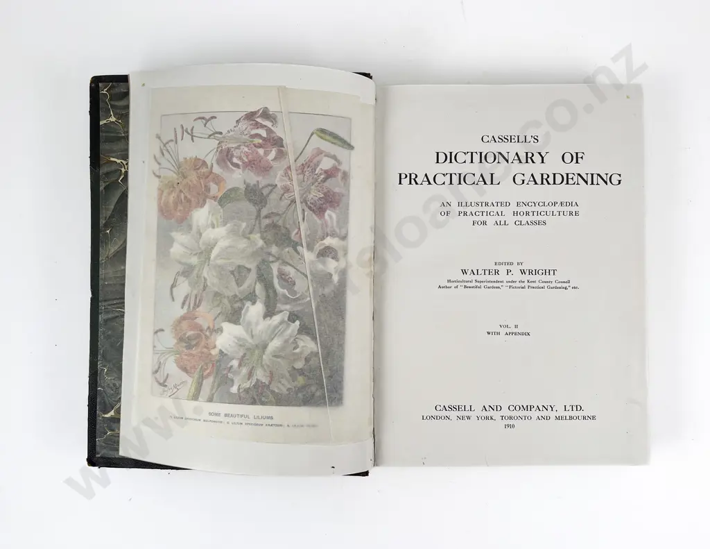 Cassells Dictionary of Gardening Vol II Image 1++