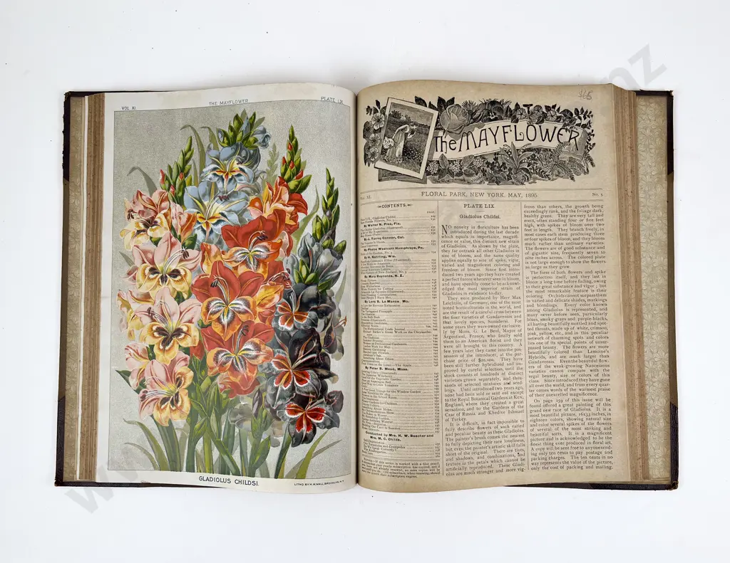 The Mayflower Magazine Bound Volume of 1895 Image 1++