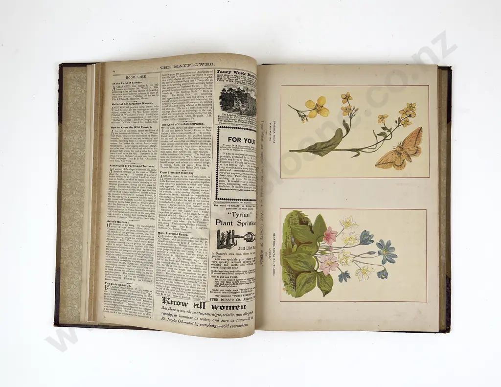 The Mayflower Magazine Bound Volume of 1895 Image 1++