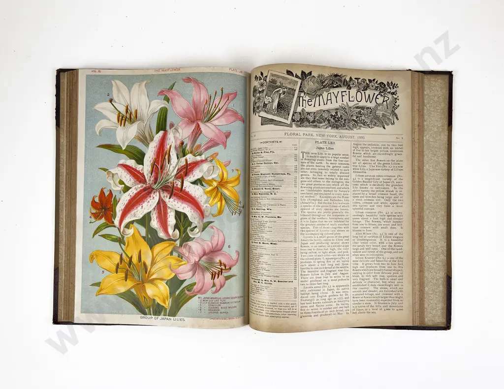 The Mayflower Magazine Bound Volume of 1895 Image 1++