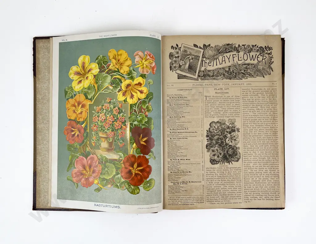 The Mayflower Magazine Bound Volume of 1895 Image 1++