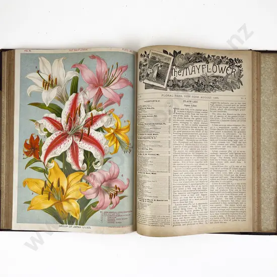 The Mayflower Magazine Bound Volume of 1895