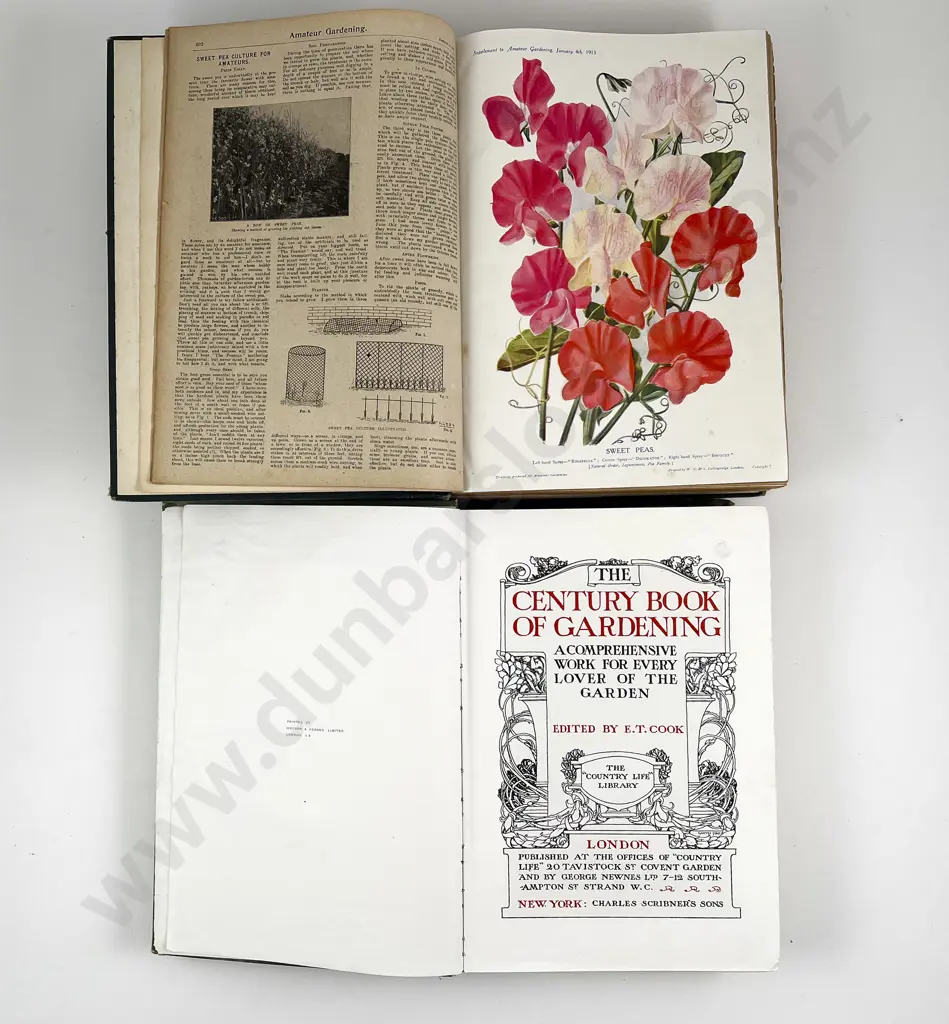 Amateur Gardening 1913 Image 1++