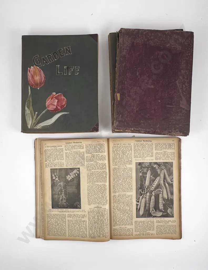 Six Vintage Bound Garden Magazines Image 1++