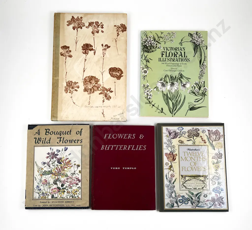 Five Flower Illustration Volumes Image 1++