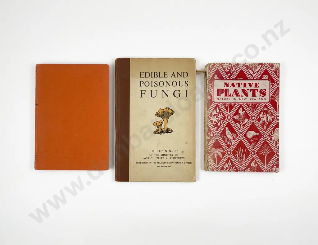 Three Vintage NZ Native Plant Reference Books Image 1++