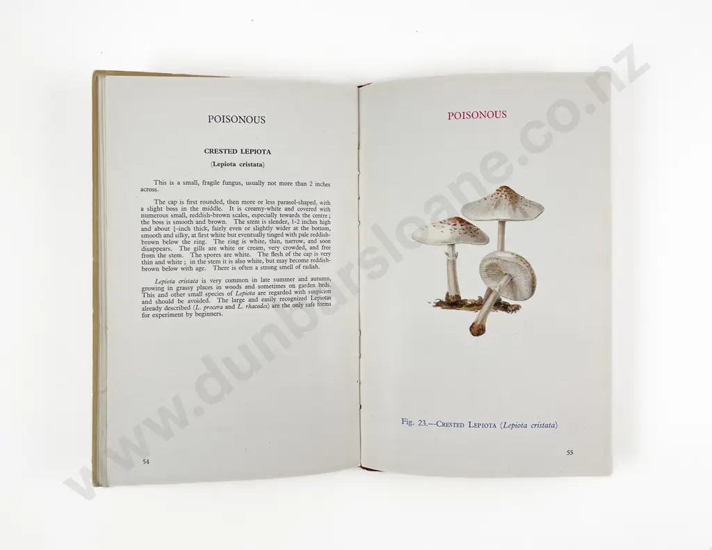 Three Vintage NZ Native Plant Reference Books Image 1++